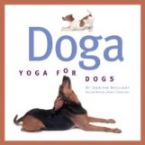 doga-yoga-for-dogs.jpg